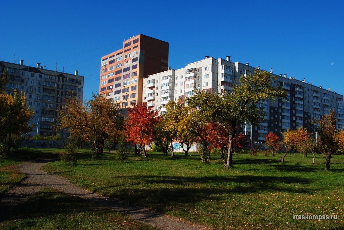 Екатеринбург улица софьи ковалевской