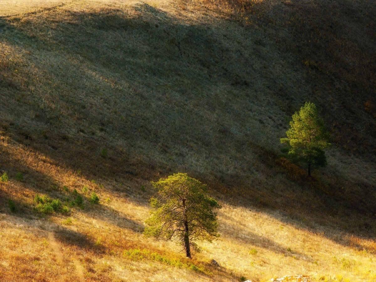 Владимир Степанов фотограф. Деревня вниз по косогору осенью.